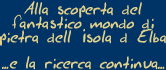 Testi e foto di Nello Anselmi